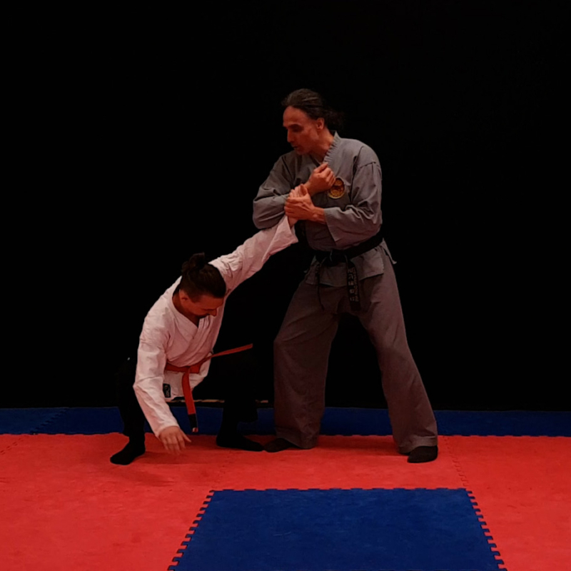 HapKiDo Braungurt Beitragsbild Hebel