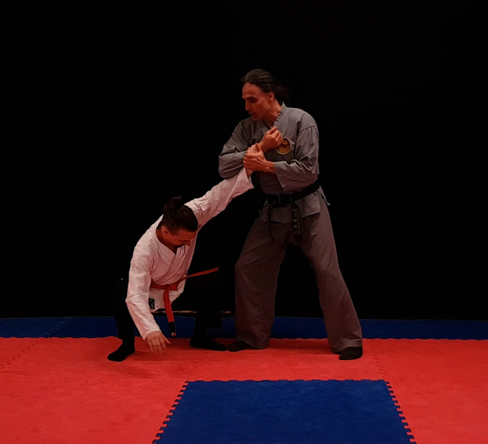 HapKiDo Braungurt Beitragsbild Hebel