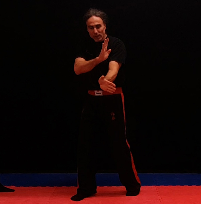 Wing Chun Trainings Solotraining