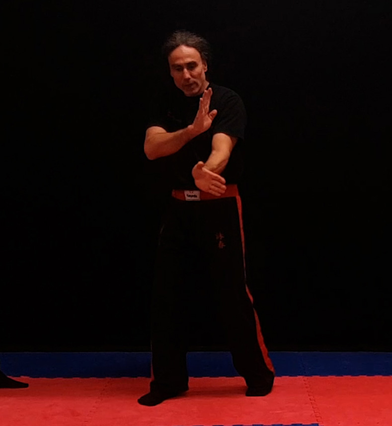 Wing Chun Trainings Solotraining