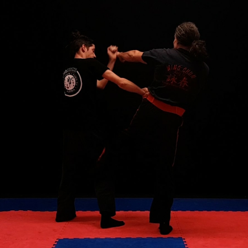 7.Grad Wing Chun Video-Dojo