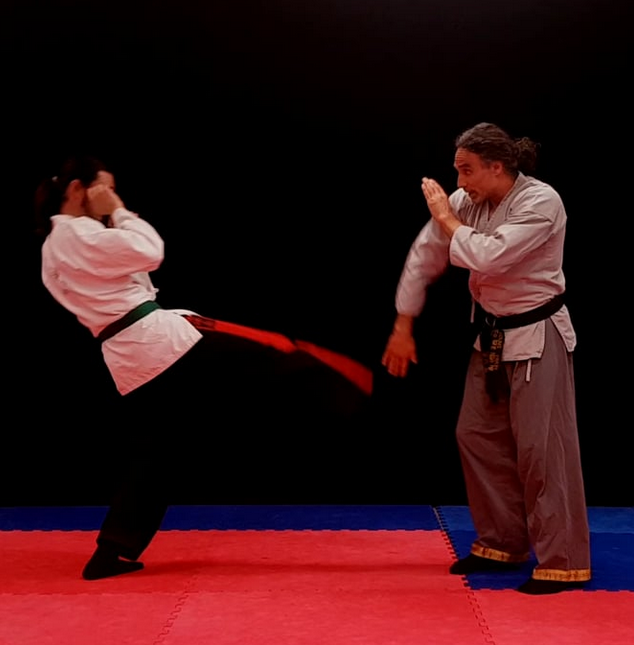 Video-Dojo HapKiDo Kickabwehr