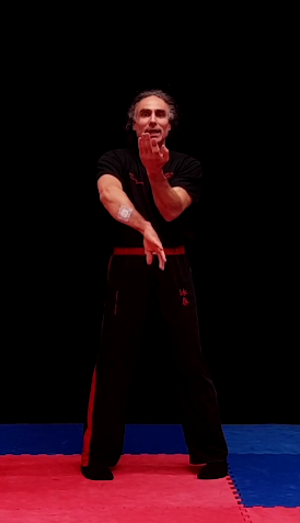 Video-Dojo Wing-Chun-Quansao