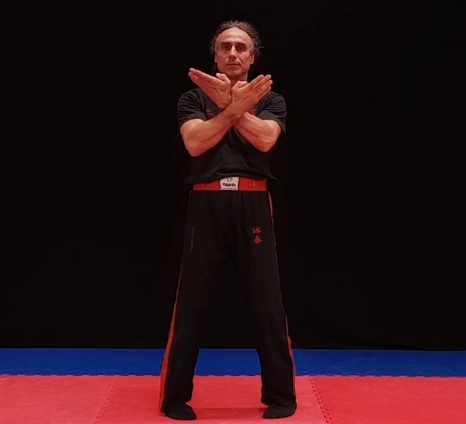 Wing Chun SiuNimTao 5.Grad Video-Dojo