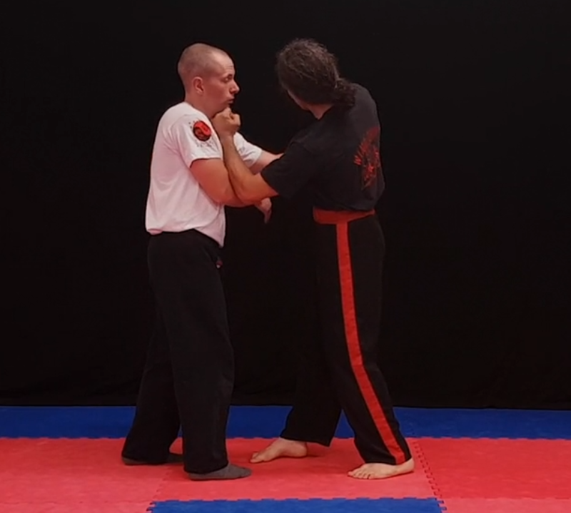 Video-Dojo Wing Chun kampftechniken