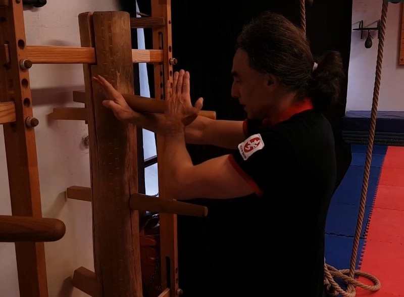 Video-Dojo Wooden-Dummy